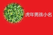 虎年宝宝小名取名指南，寓意与创意并重