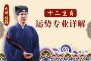 十二生肖虎的运势解析，事业与感情的双丰收