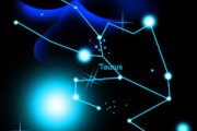 十二星座能吃什么动物呢？