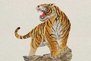 今日头条生肖虎今日运势，Tigers Todays Fortune