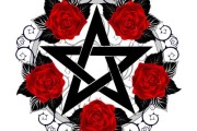 一、花的象征意义