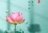 处暑前后，生肖运势如何？
