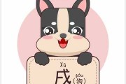 戌狗生肖运势，狗年运势解析与建议