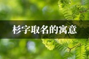 猴宝宝取名杉字，寓意深远，自然和谐之美