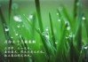 正月初一走春，吉时的诗意与文化内涵