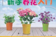 新手养花指南，选择适合的花种和布局