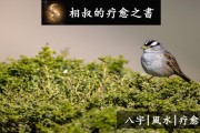 三月2日生肖运势全面解析，运势起伏，宜谨慎行事