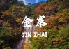 金寨山里人算命的叫什么—传承的神秘与智慧