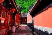 玉泉寺结婚求签，文化与现代婚姻的和谐之道