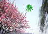 春杨名字吉凶，传统与现代的结合