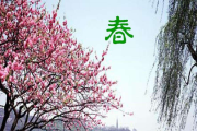 春杨名字吉凶，传统与现代的结合