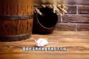 揭秘十二星座的祖先，神秘的兽传说