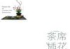 揭秘茶花之谜，为何茶花成为家居装饰的之物