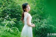 精致求签网名，优雅与神秘的结合