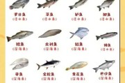 十二星座谁吃什么鱼