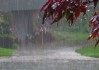 大雨纷飞，解读自然与心灵的双重启示