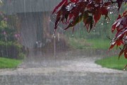 大雨纷飞，解读自然与心灵的双重启示