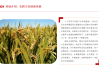 二十四吉时，农耕文明的智慧之光