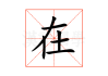 在浴缸中放什么植物，解析浴缸中的植物选择
