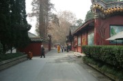 昭觉寺求签攻略，如何在寺庙中获得与智慧！