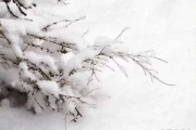 走墓运真的能带来吗？与吉凶解析