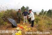 2019年元月上坟吉时，避开禁忌，趋吉避凶