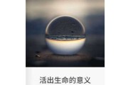 生命的意义,不算命不立命 生命的意义,不算命不立命
