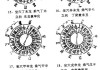 解析中的真气是什么