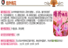 生辰八字算命测算桃花运，解析你的感情运势与潜在伴侣