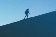 修行路上，遇到牛的深意解析及周公解梦新解