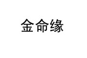 金莲算命，一场关于命运与自我的探索
