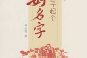 首先，我得分析李起宝宝这个名字的结构。李是一个常见的姓氏，而起作为名字，给人一种有活力、有希望的感觉。所以，乳名应该既保留李起的感觉，又要有新意和可爱性