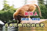 生肖猴生在农历四月运势详解，春风得意，事业腾飞