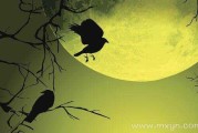 梦见血乌鸦，解梦解析与心理暗示