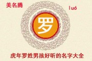 虎年罗姓男宝宝取名灵感与技巧