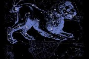 十二宫土狮子星座是什么