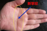 手掌横纹，解读命运的密钥？从科学到心理学的深度解析
