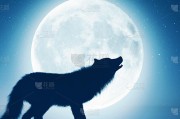 梦见狼吃月亮，解读这个不寻常的梦