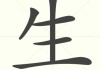 生起是什么意思