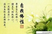 佛法不让人算命,但佛法让人真正理解人生 佛法不让人算命,但佛法让人真正理解人生