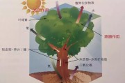 植物学，哪些植物能聚财养气，好