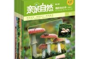 自然与爱，七月宝宝取名指南