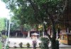 南山寺求签诗句及解释，解读古寺求签文化与诗意人生