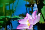 莲溪寺，一段尘封的历史与神秘的求签文化