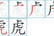 虎宝宝取名之顺字巧用攻略，寓意美好，书写