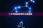 88年生肖兔运势，兔年运程全解析