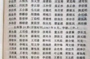 姓娃娃取名指南，传统与现代结合的艺术