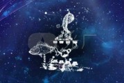 十二星座揭秘，双鱼座的伴侣星座男是谁？