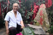 组求签播放大全，探索传统智慧与现代科技的结合
