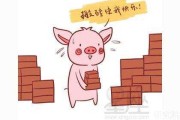 会算命的猪猪是什么生肖？